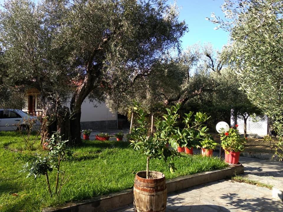 Villa Asimidou Agia Paraskevi  エクステリア 写真