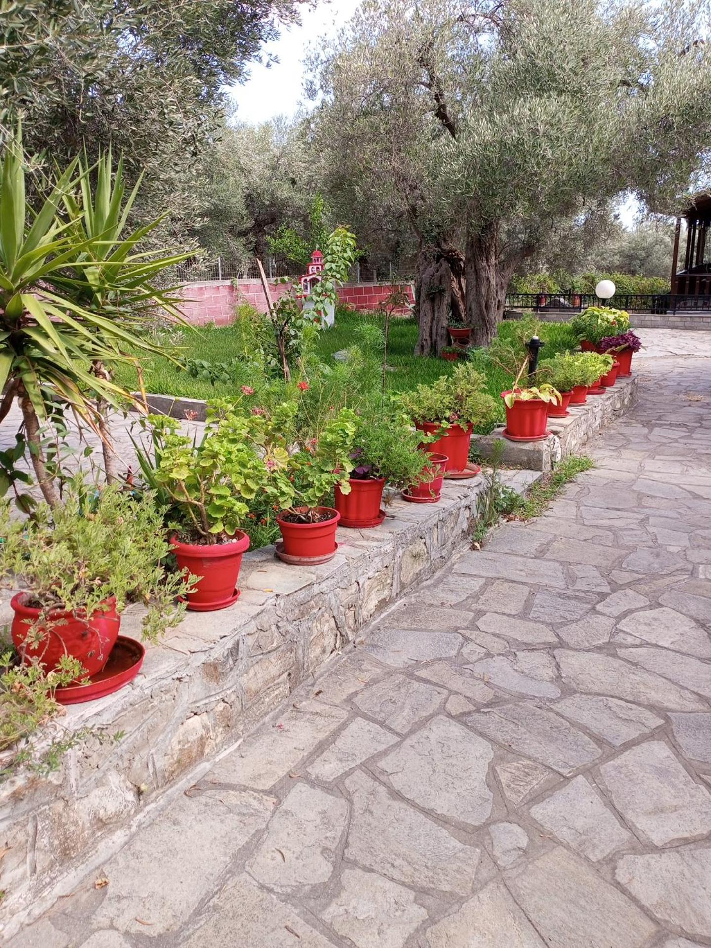 Villa Asimidou Agia Paraskevi  エクステリア 写真