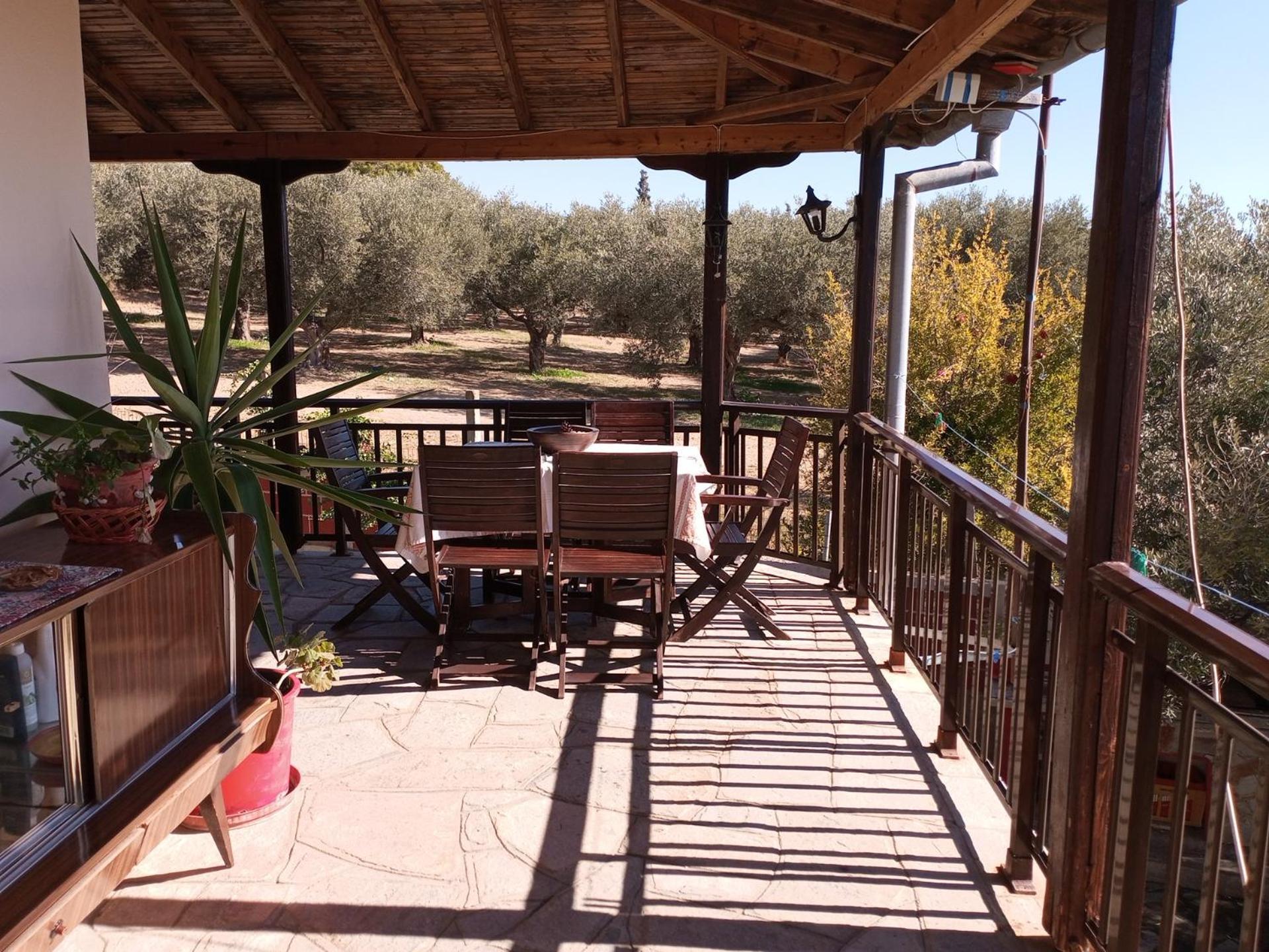 Villa Asimidou Agia Paraskevi  部屋 写真