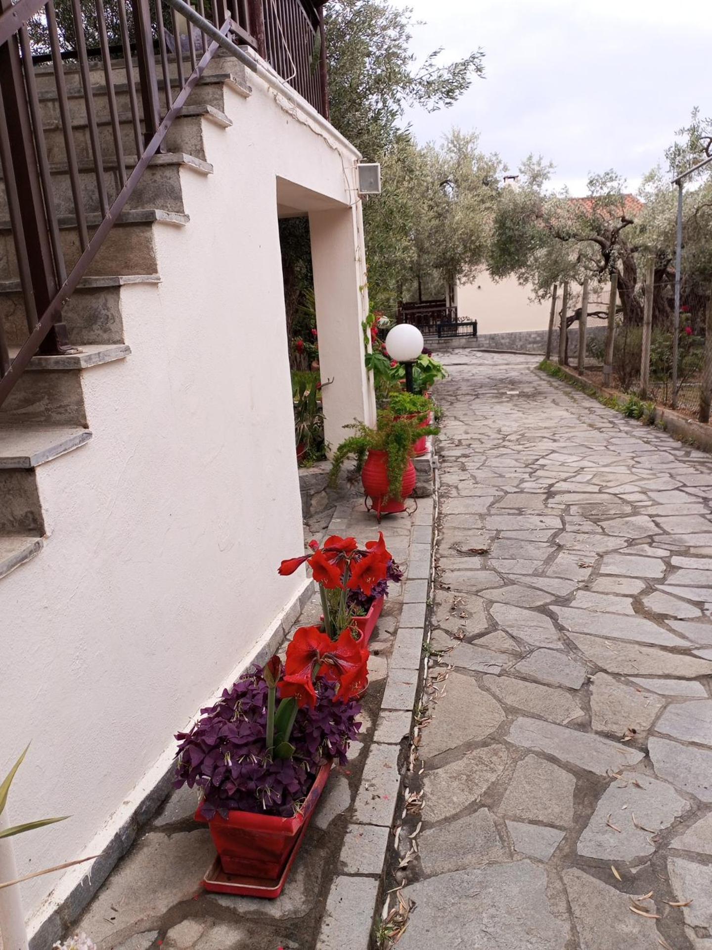 Villa Asimidou Agia Paraskevi  エクステリア 写真