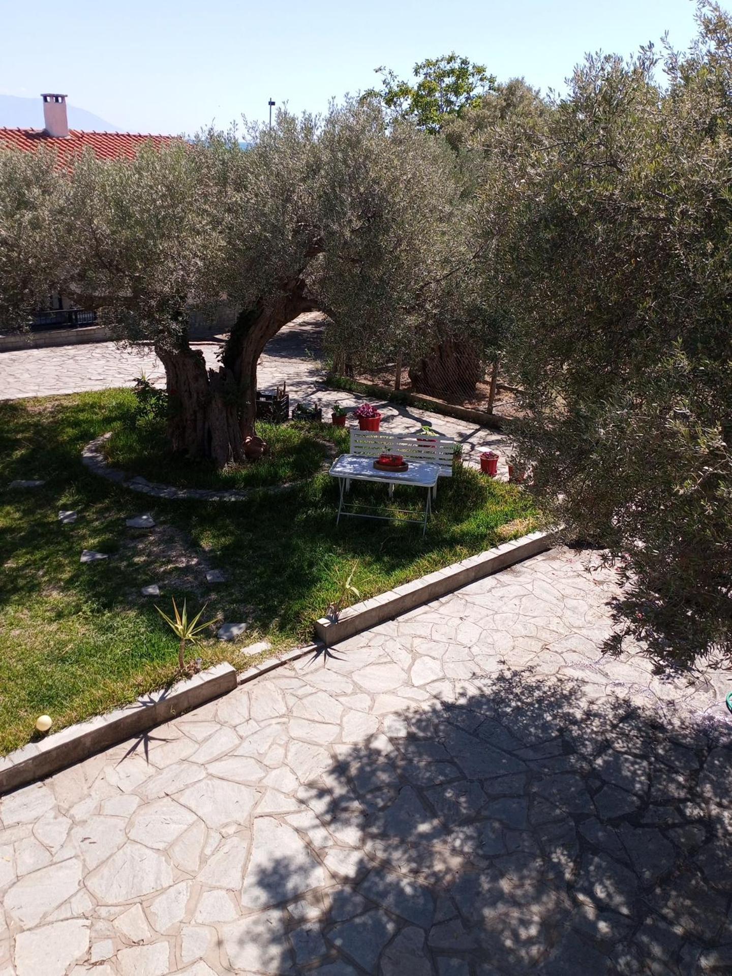 Villa Asimidou Agia Paraskevi  エクステリア 写真