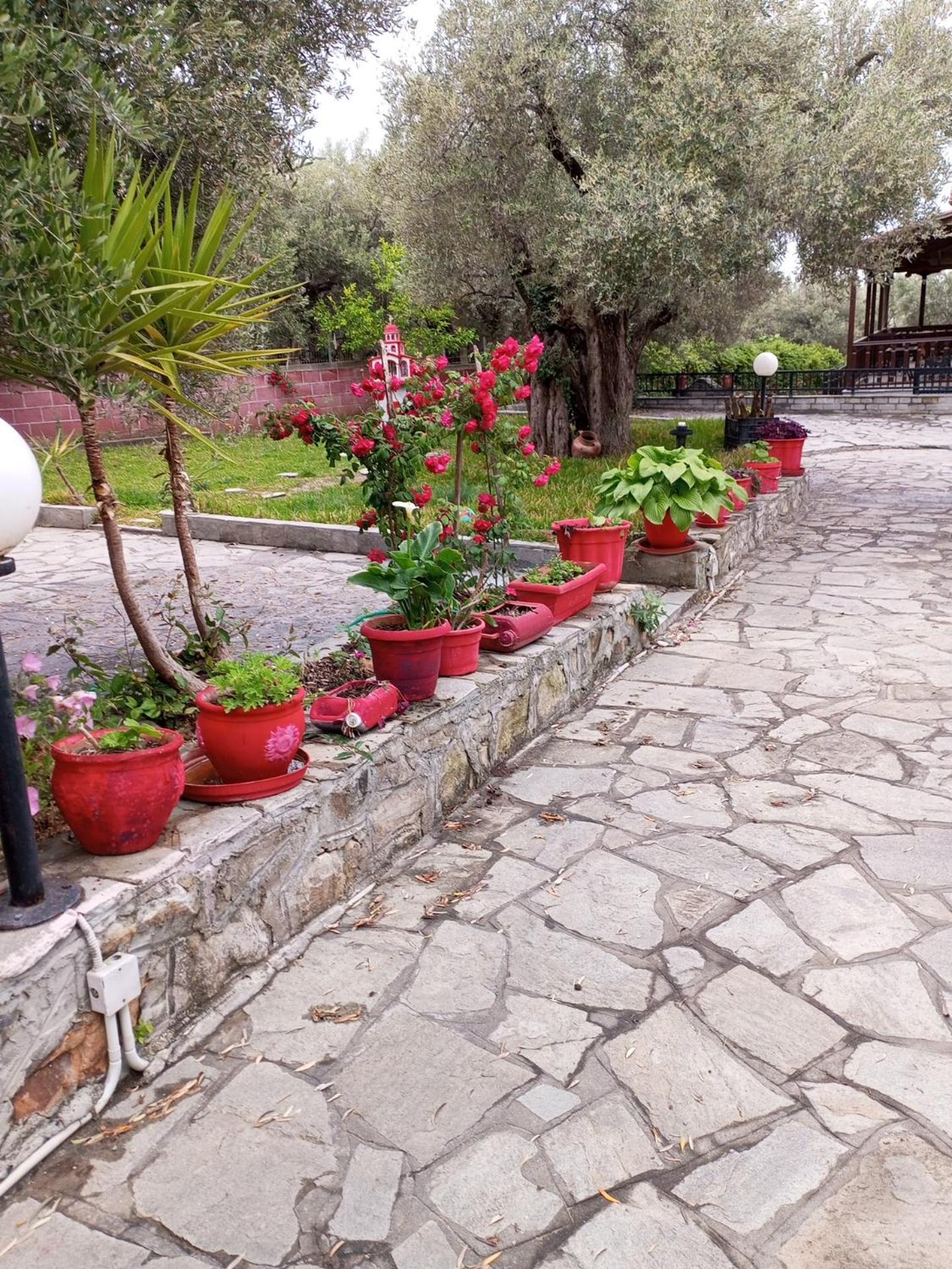 Villa Asimidou Agia Paraskevi  エクステリア 写真